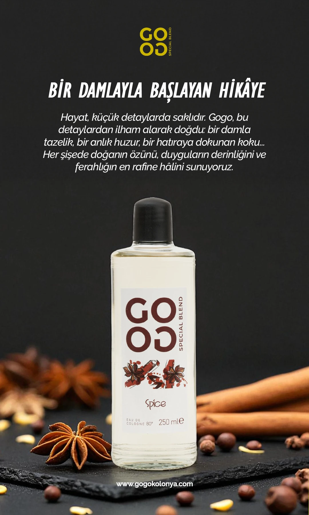 Gogo Spice Kolonya 250ml Cam Şişe - 15 Adet
