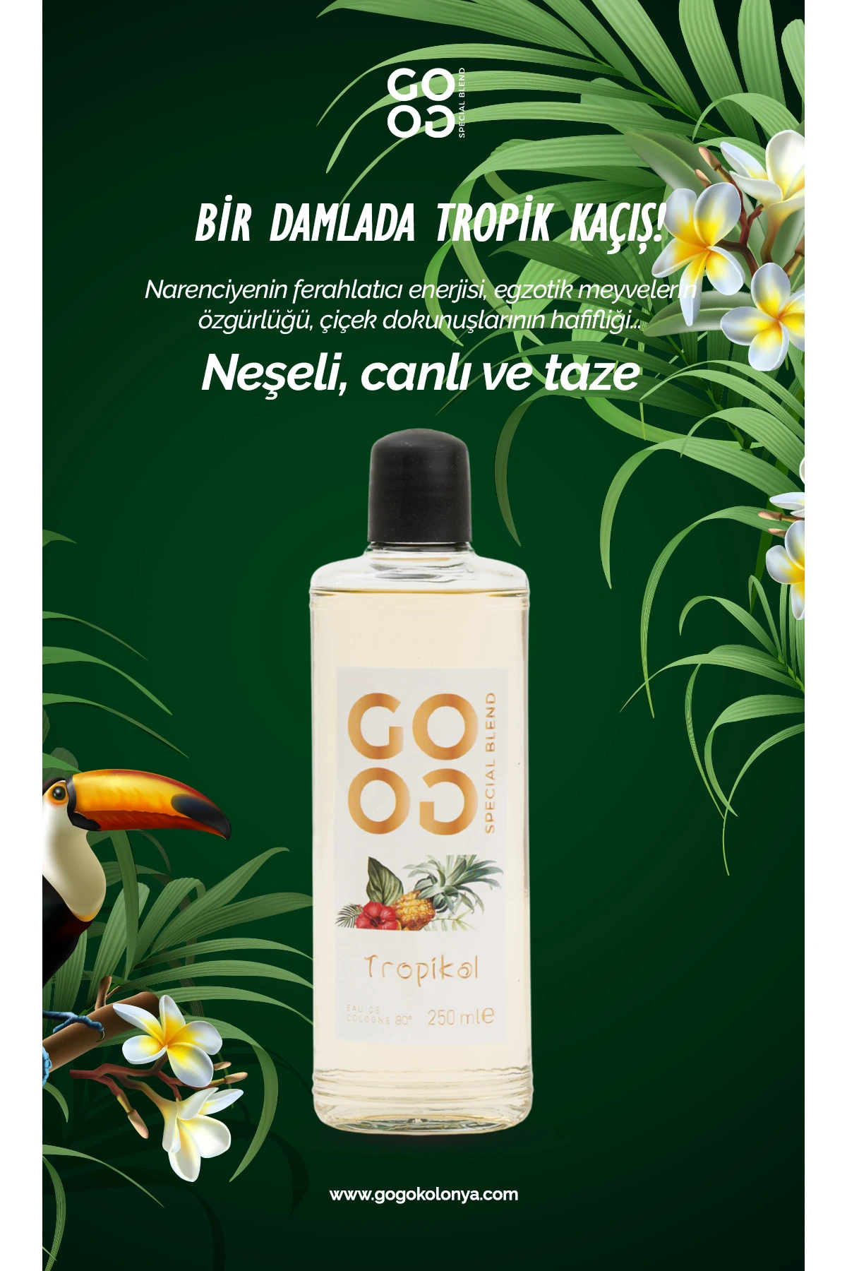 Gogo Tropikal Kolonya 250ml Cam Şişe