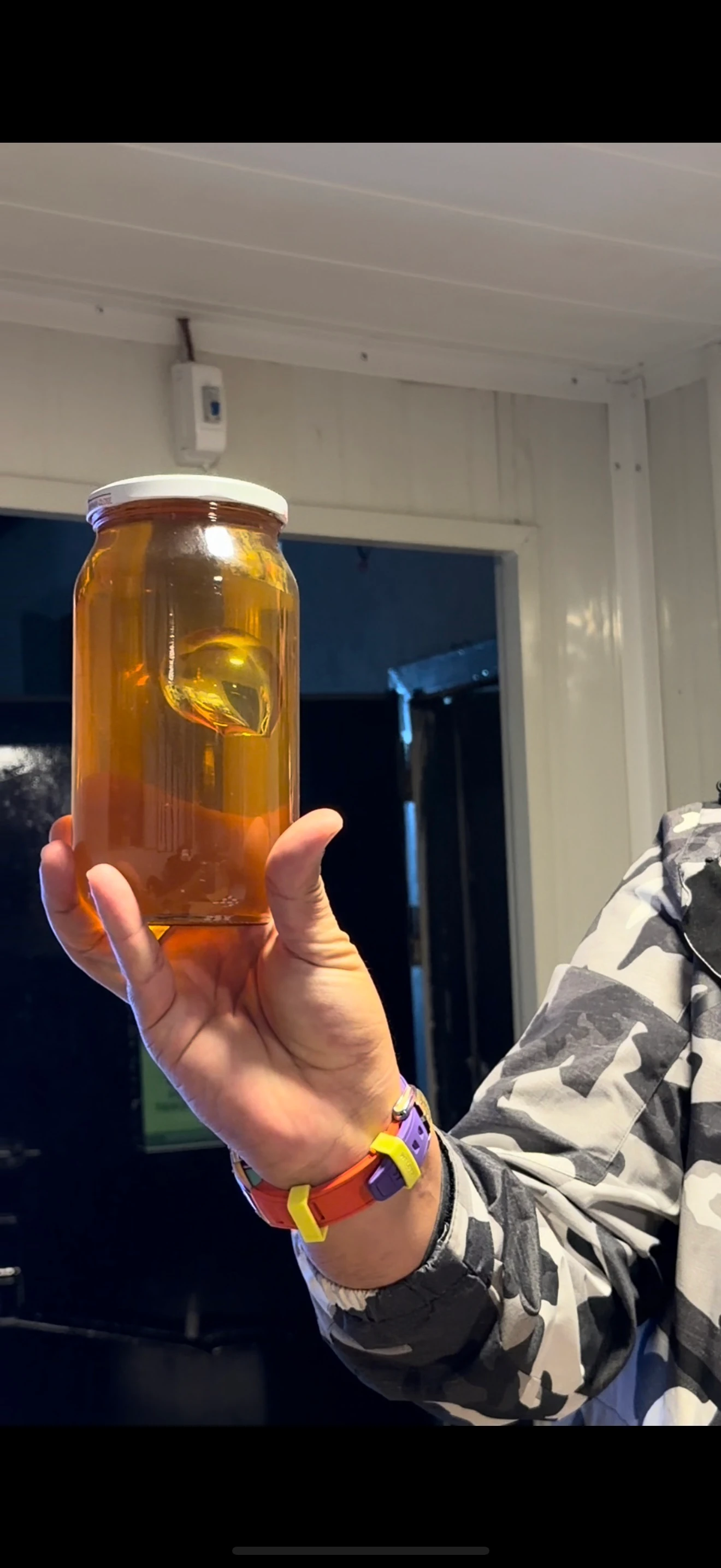 TİTOCAR ELAZIĞ BALI 