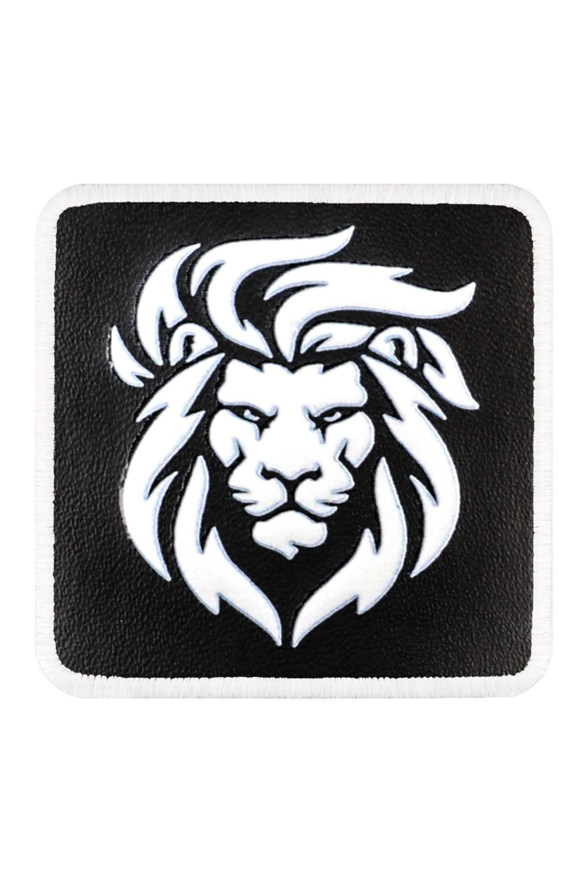 Aslan Logolu