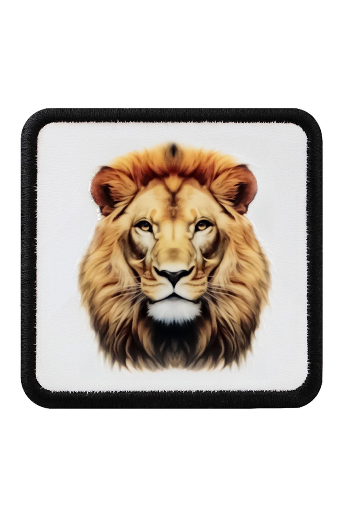 Aslan Logolu