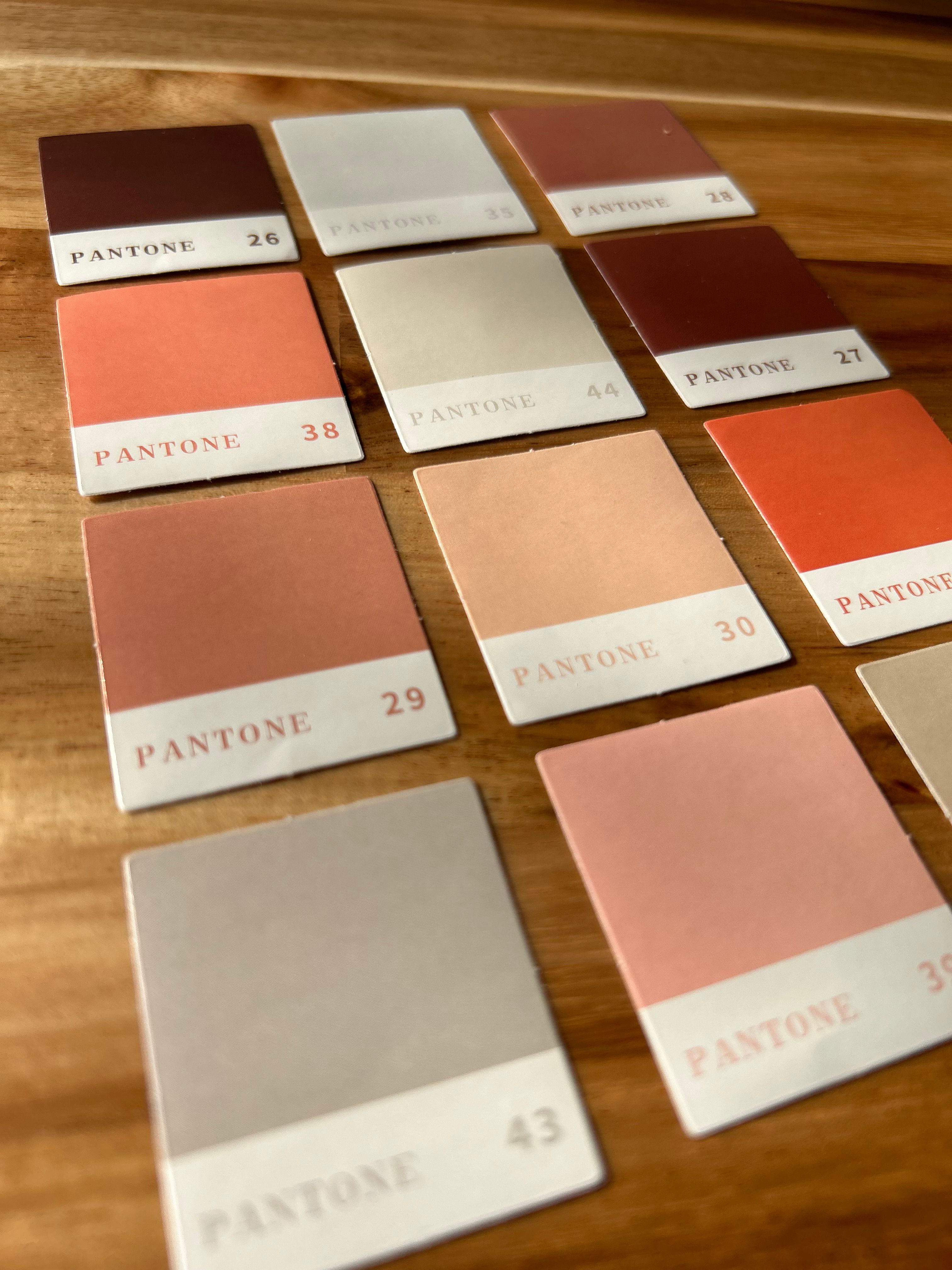 Pantone Turuncu Renk Sticker