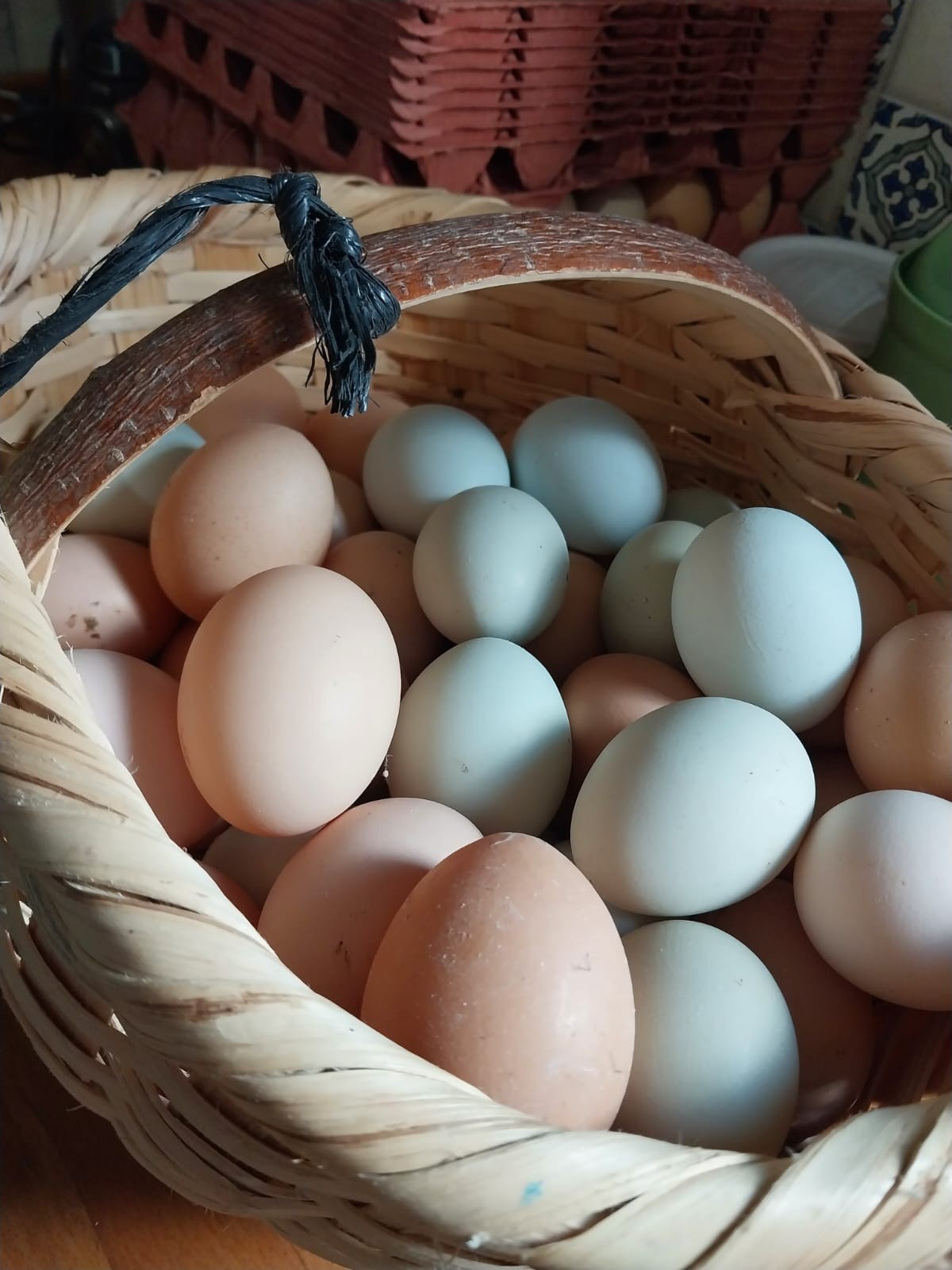 (Bandırma içi) Doğal Beslenen Gezen Tavuk Yumurtası (Köy Yumurtası)