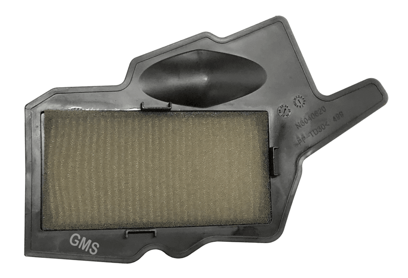 GMS-RD0001	TVS RAİDER 125 HAVA FİLTRESİ