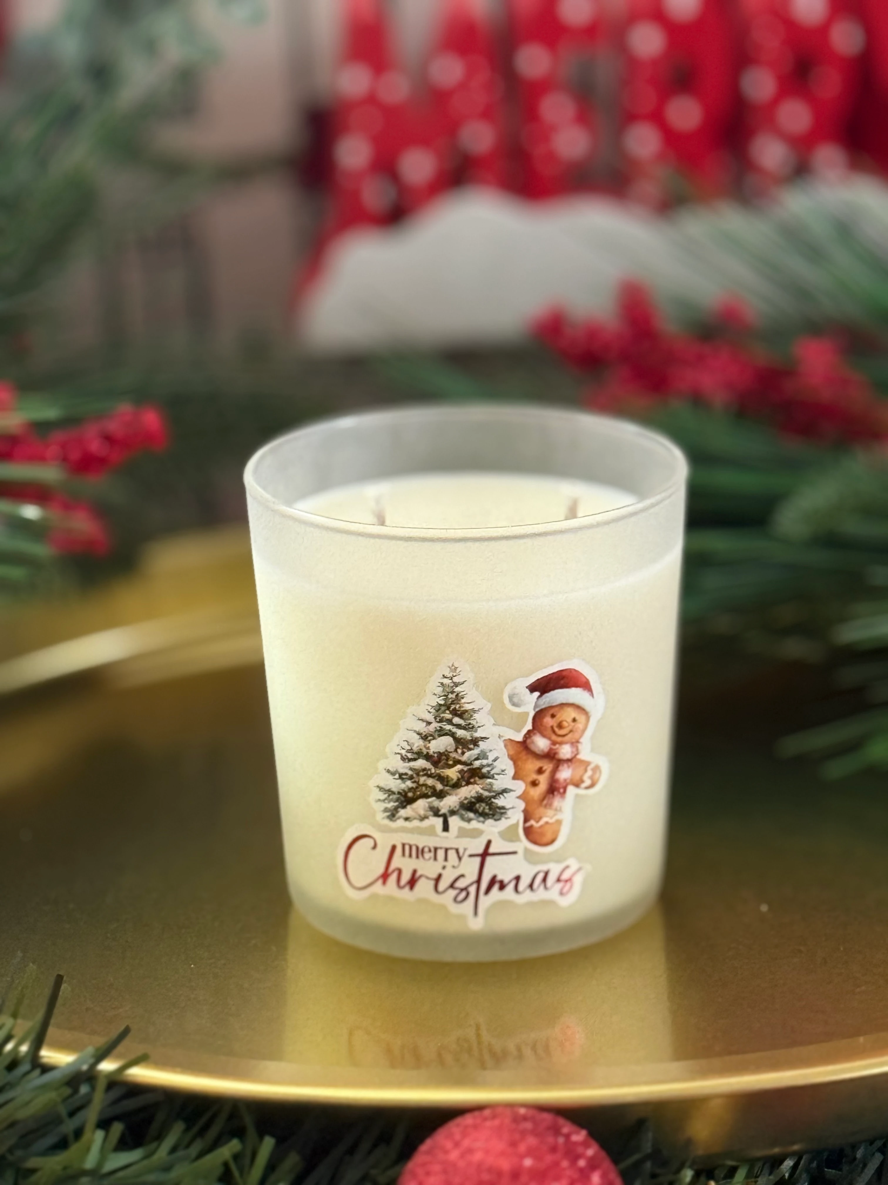 Buzlu Cam Tarçın-Vanilya Soya Mumu-270 gr.