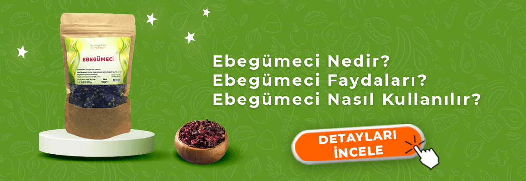 Akgülük Sakızı Nedir? Faydaları Nelerdir? Nasıl Kullanılır