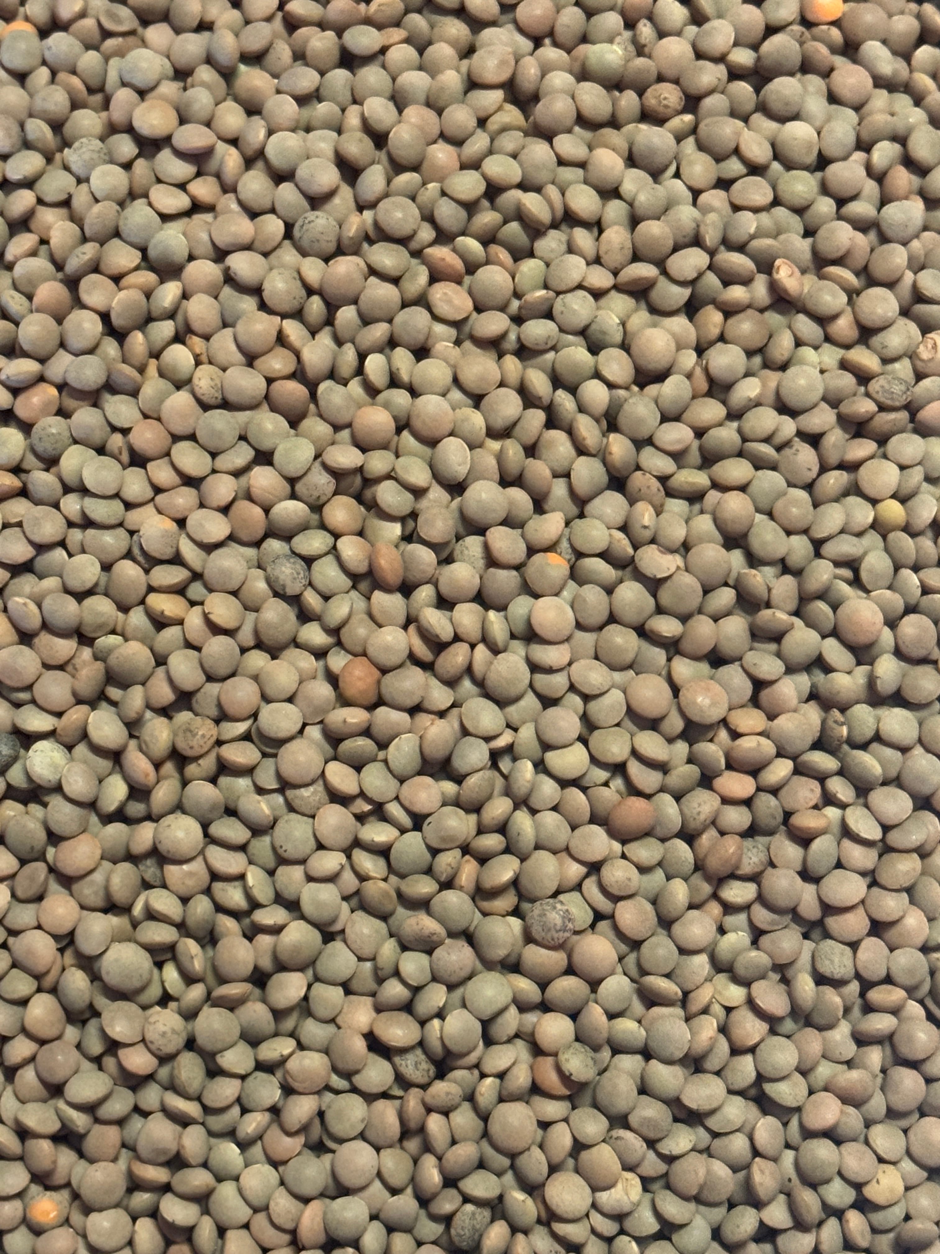 Yerli İri Yeşil Mercimek 1 Kg