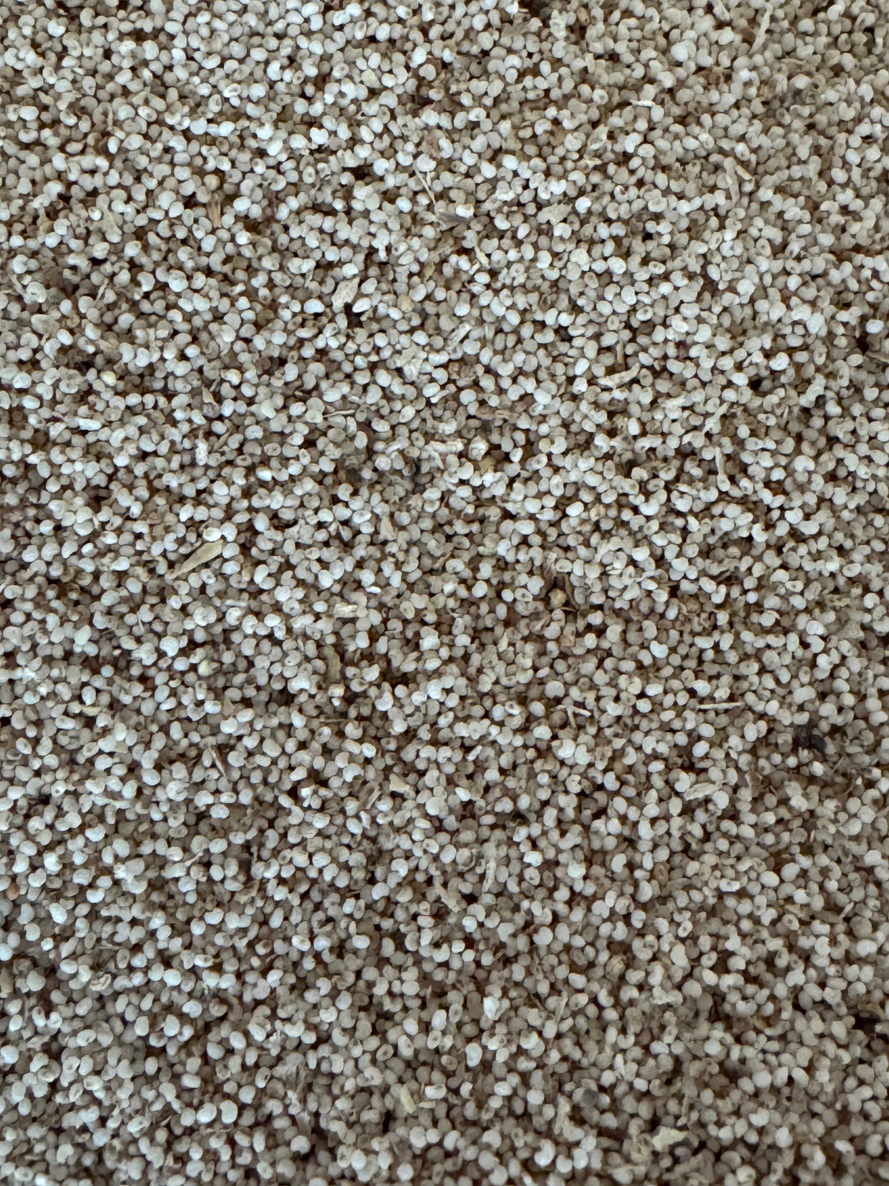 Beyaz Haşhaş 1 Kg