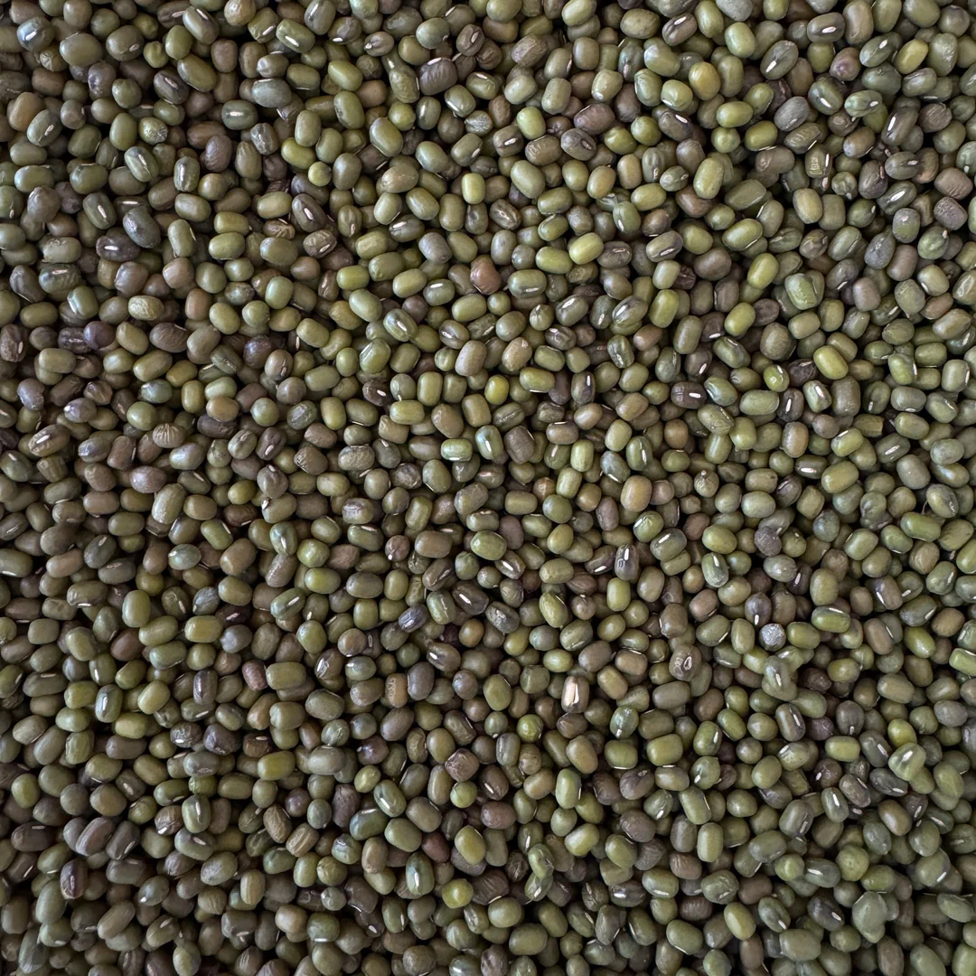 Maş Fasulyesi 500gr