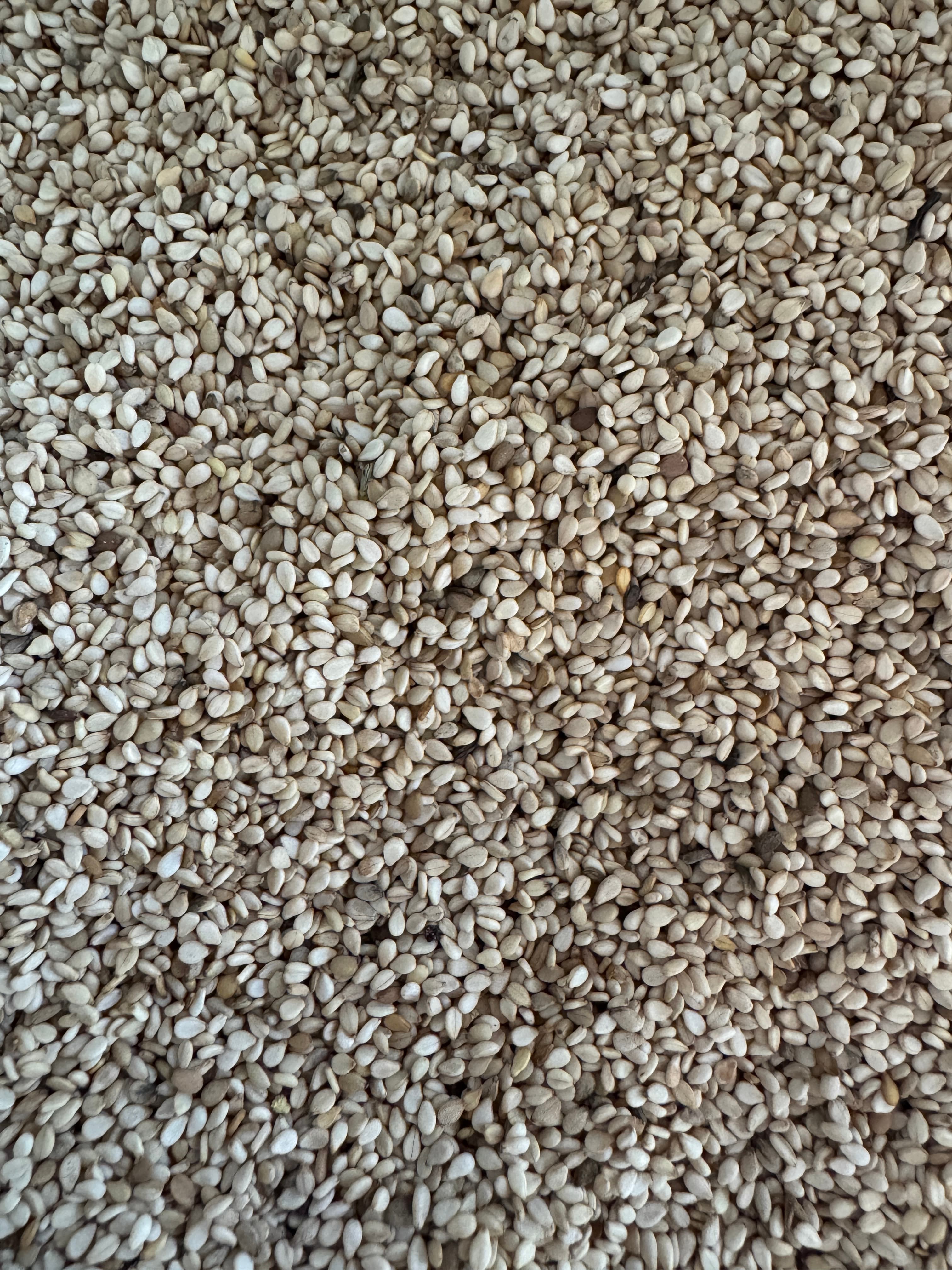 Beyaz Susam 1 Kg