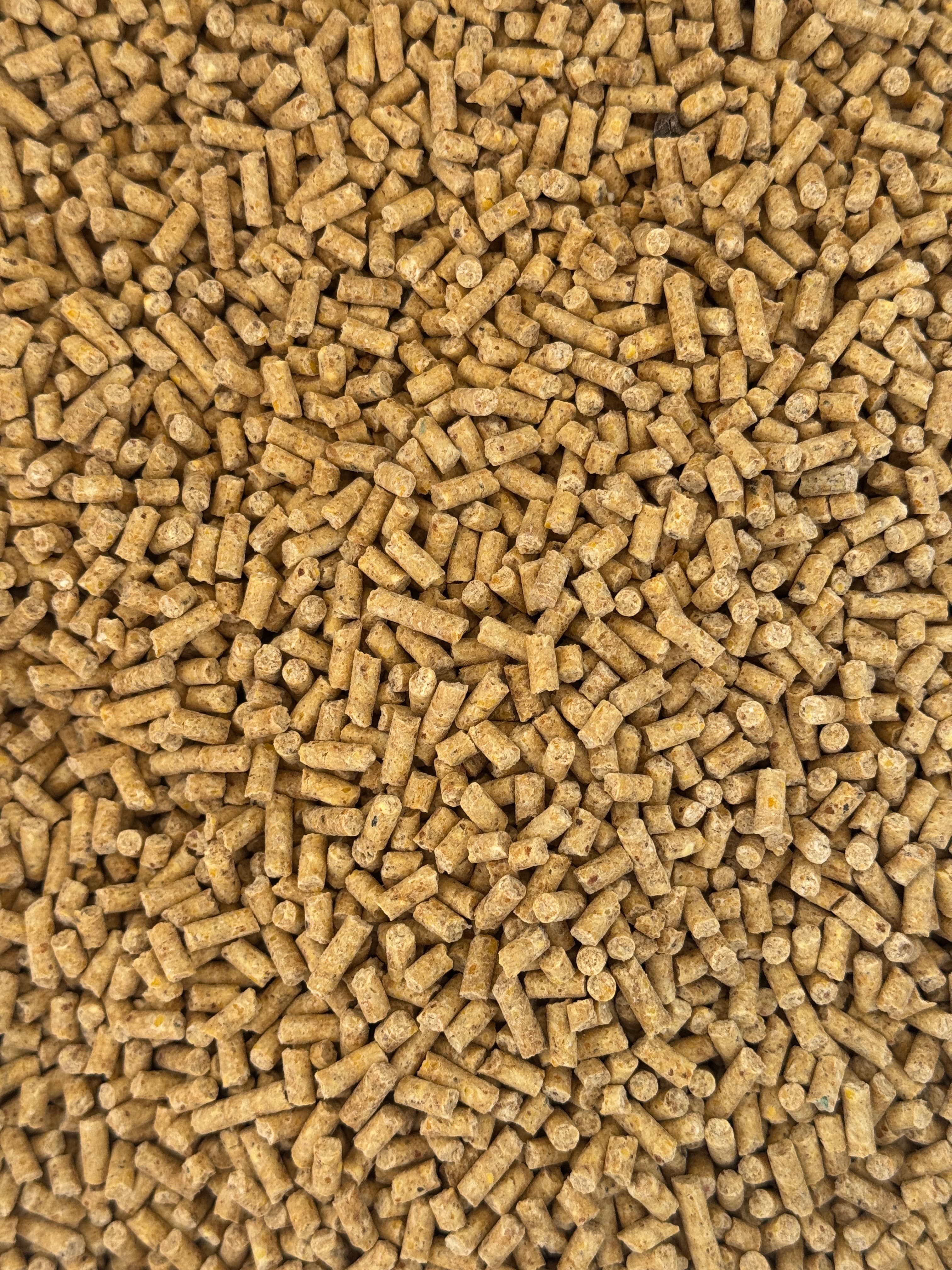 Etlik Besi Pelet Yemi 10 Kg