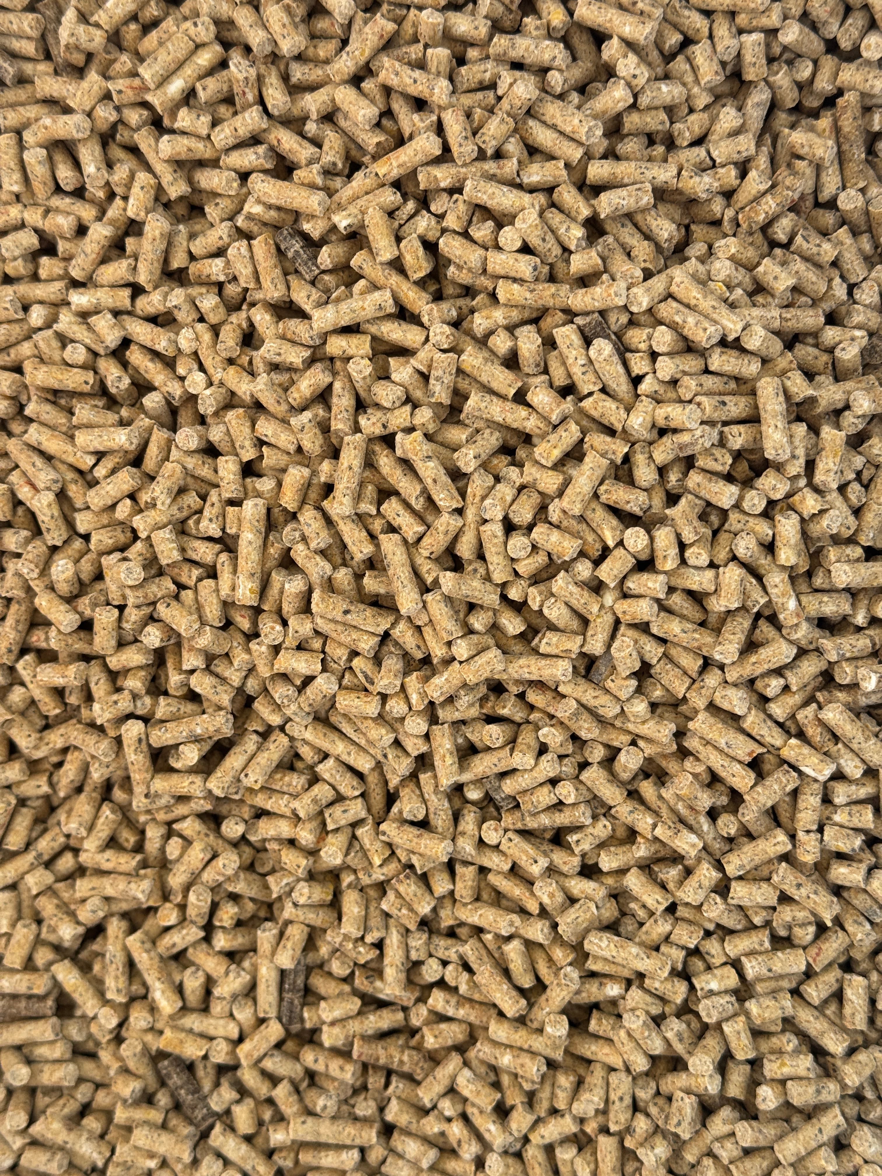 Yumurta Pelet Yemi 10 Kg