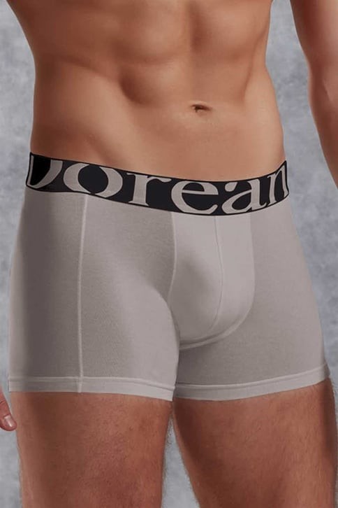 Doreanse 1777 Torbalı Normal Paça Boxer