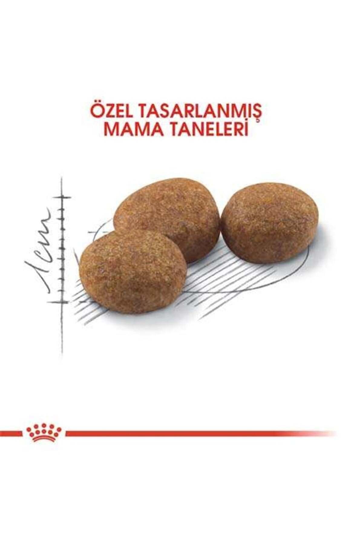 Royal Canin Sterilised Kısırlaştırılmış Kedi Maması 10 Kg