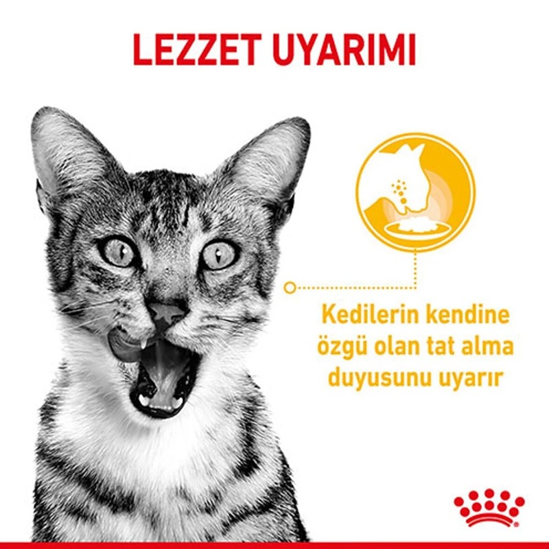 Royal Canin Sensory Taste in Gravy Adult Kedi Konservesi 85 Gr