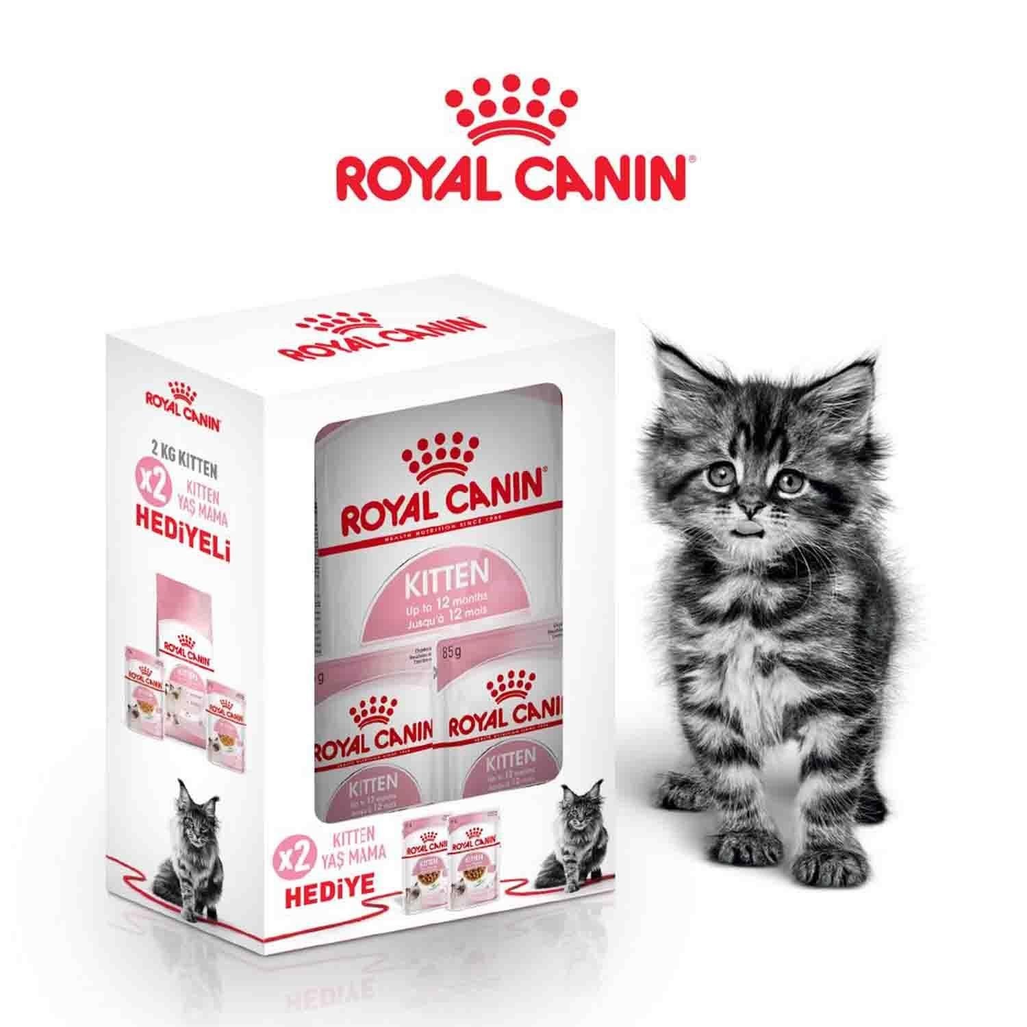 Royal Canin Kitten 2 Kg + 2 Adet Kitten Yaş Mama Hediye! 