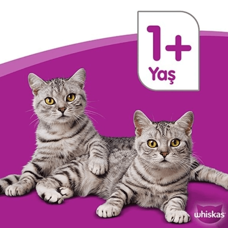 Whiskas Pure Delight Dilimli Seçim Tavuklu Ve Somonlu Yaş Mama 4x85 gr