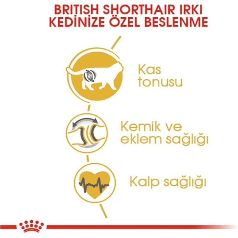 Royal Canin British Shorthair Yetişkin Kuru Kedi Maması 2 Kg + 2 adet Yaş Mama Hediyeli