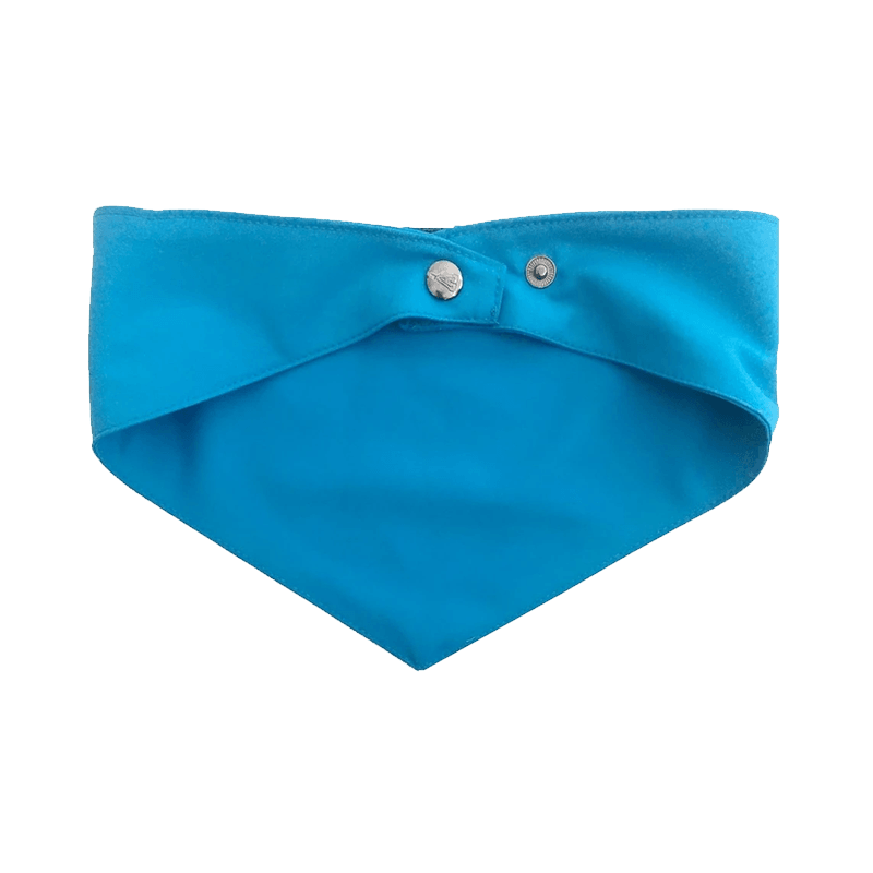 Alphadog Köpek Boyunluk Bandana