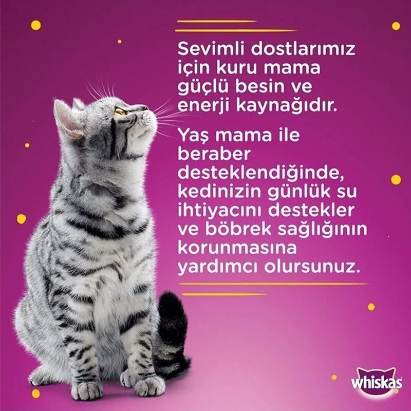 Whiskas Sığır Etli Kedi Konservesi 400gr