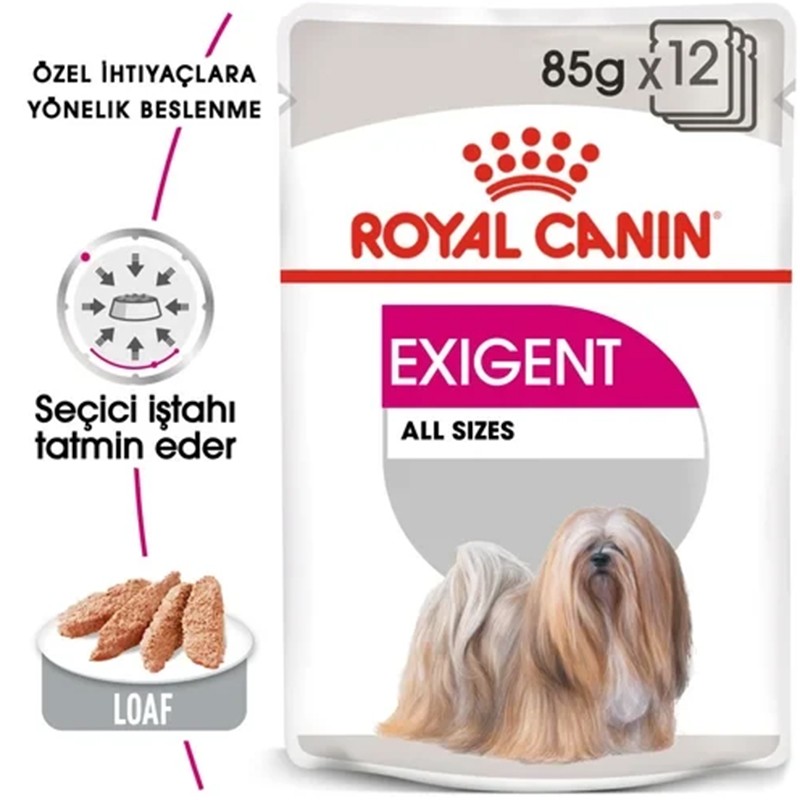 Royal Canin Exigent Köpek Konservesi 85gr