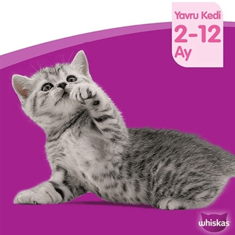 Whiskas Junior Pure Delight Yavru Kümes Hayvanlı Yaş Mama 4x85 Gr