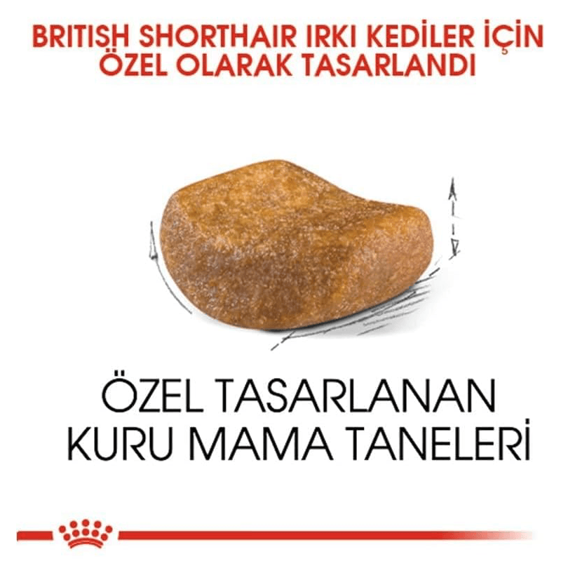 Royal Canin British Shorthair Yetişkin Kuru Kedi Maması 2 Kg + 2 adet Yaş Mama Hediyeli