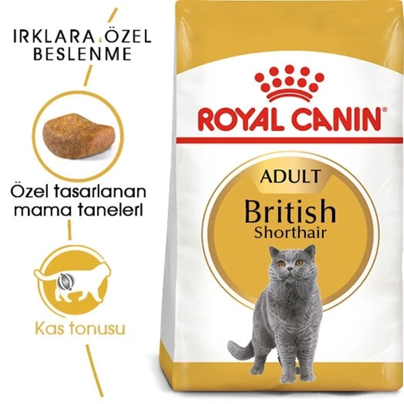 Royal Canin British Shorthair Özel Irk Kedi Maması 10kg