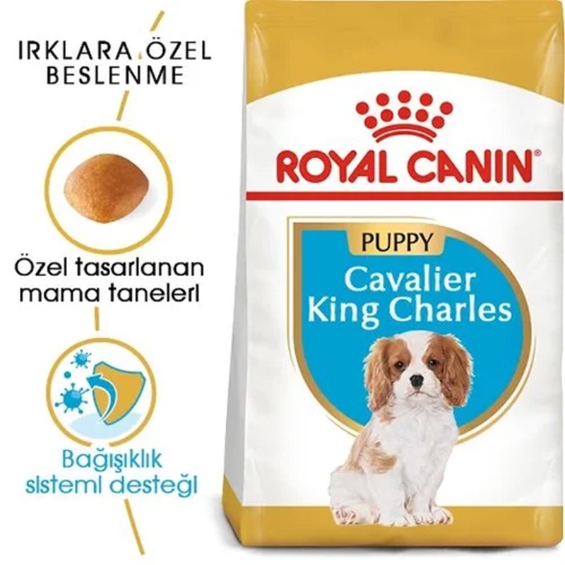 Royal Canin Cavalier King Charles Özel Irk Yavru Köpek Maması 1,5kg