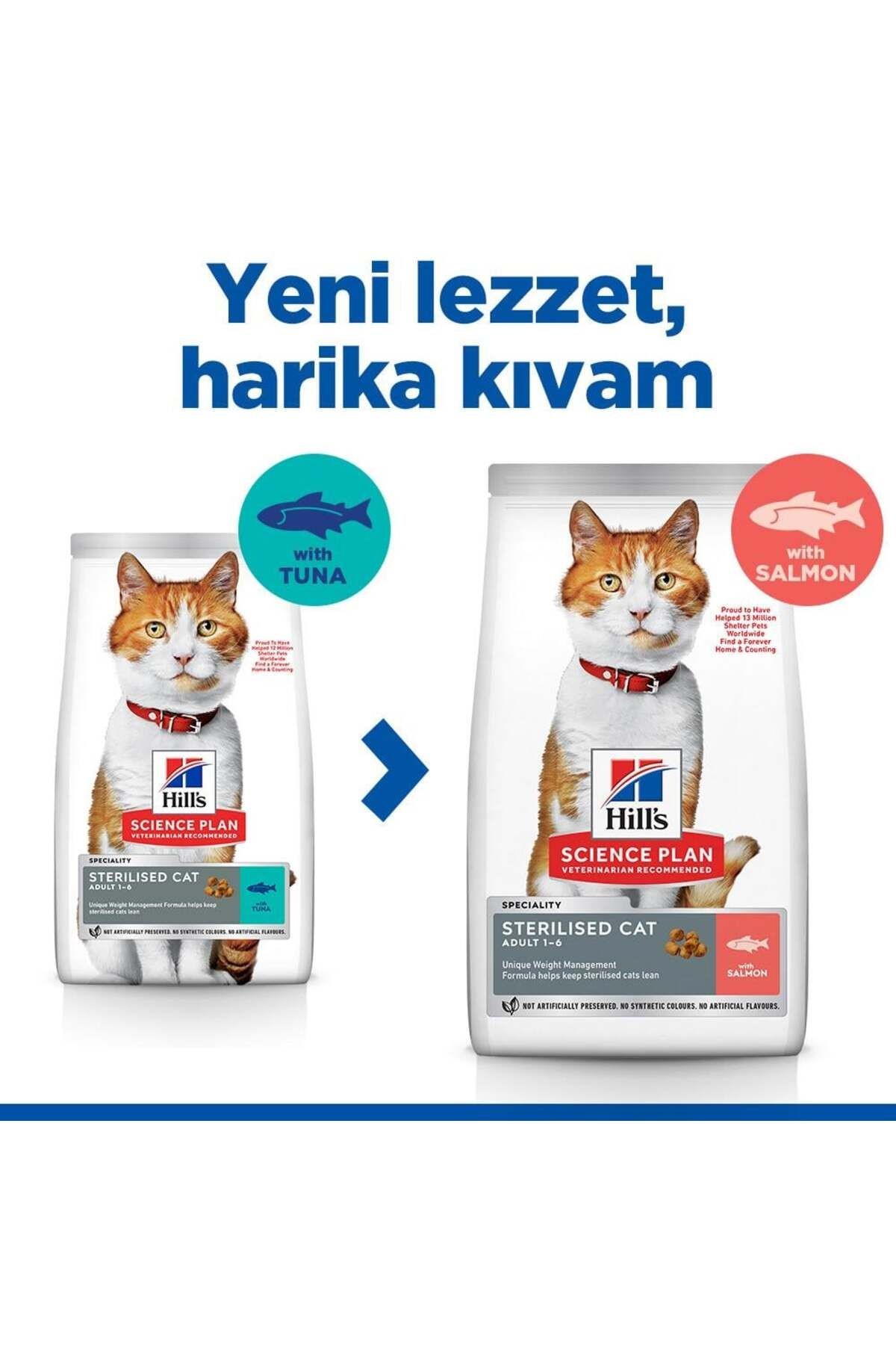 Hill's Sterilised Somon Kısır Kedi Maması 10 Kg