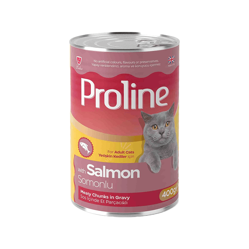 Proline Sos İçinde Et Parçacıklı Somonlu Kedi Konservesi 400gr