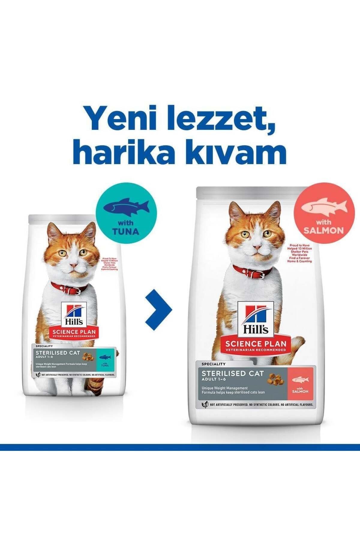 Hill's Somonlu Kısırlaştırılmış Yetişkin Kedi Maması 3 Kg