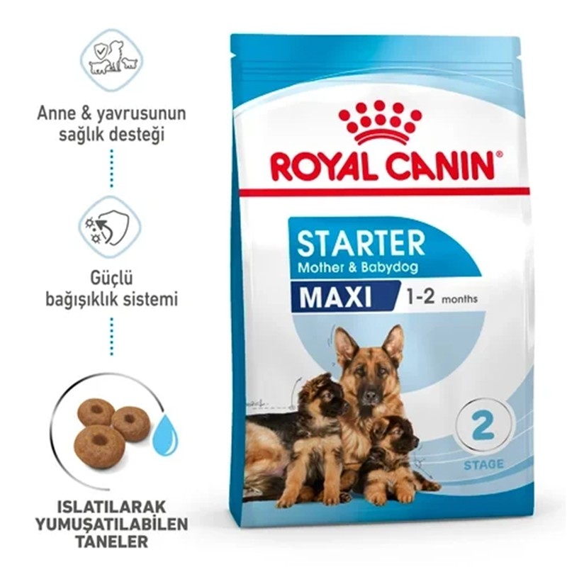 Royal Canin Maxi Starter Anne ve Yavru Köpek Maması 15kg