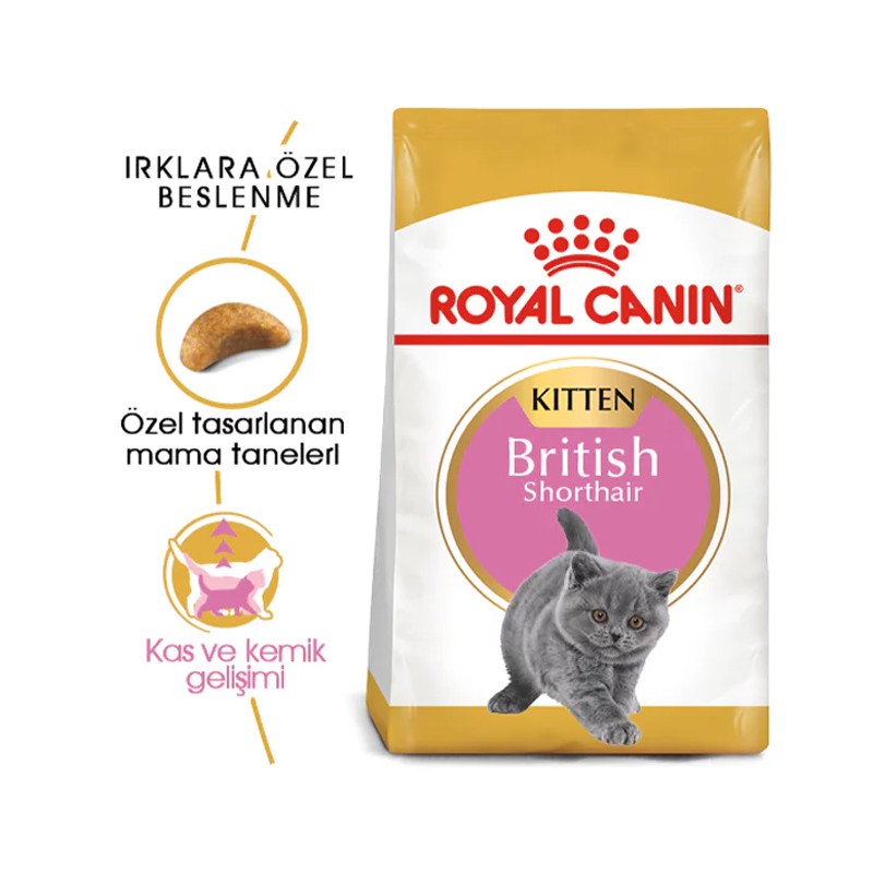 Royal Canin British Shorthair Kitten Özel Irk Yavru Kedi Maması 2kg