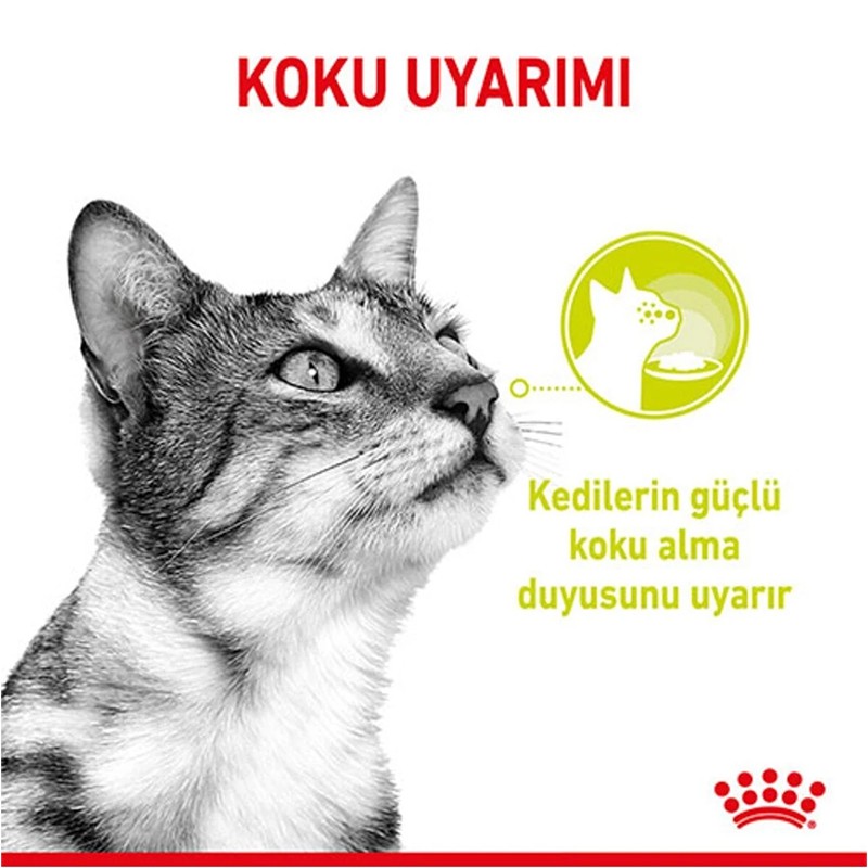 Royal Canin Sensory Smell in Gravy Adult Kedi Konservesi 85 Gr