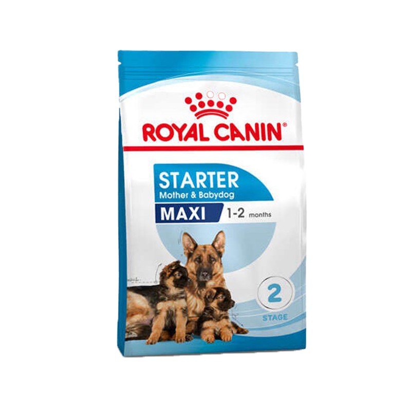 Royal Canin Maxi Starter Anne ve Yavru Köpek Maması 15kg