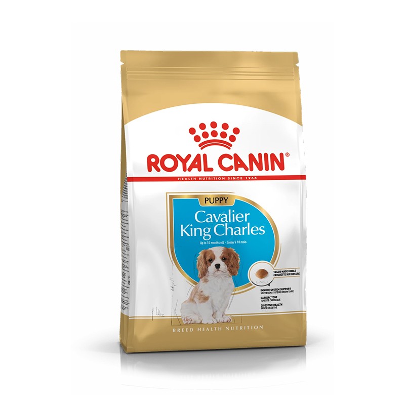 Royal Canin Cavalier King Charles Özel Irk Yavru Köpek Maması 1,5kg