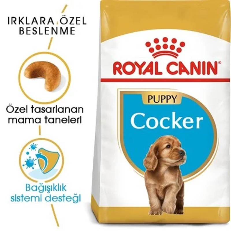 Royal Canin Cocker Özel Irk Yavru Köpek Maması 3kg