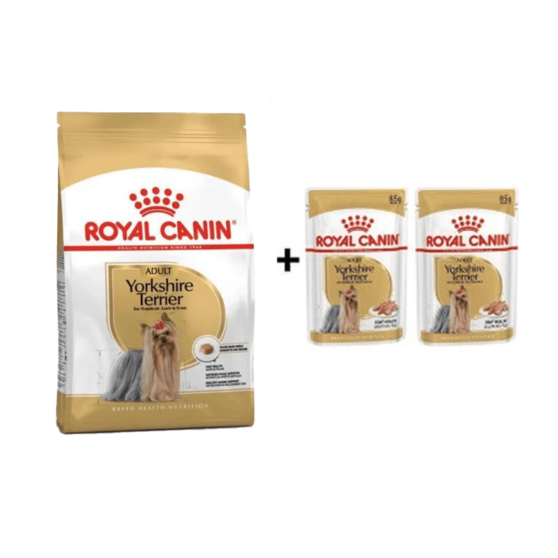 Royal Canin Yorkshire Terrier Irkına Özel Köpek Maması 1.5 Kg + 2 Adet Yaş Mama Hediyeli