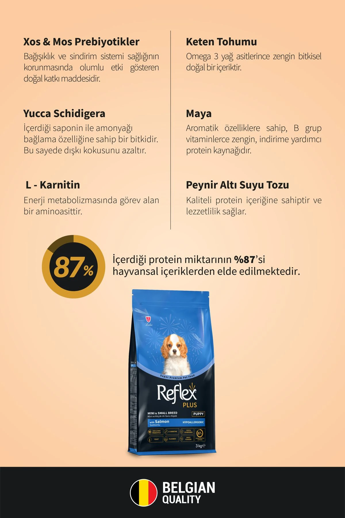Reflex Plus Somonlu Mini ve Küçük Irk Yavru Köpek Maması 3 Kg