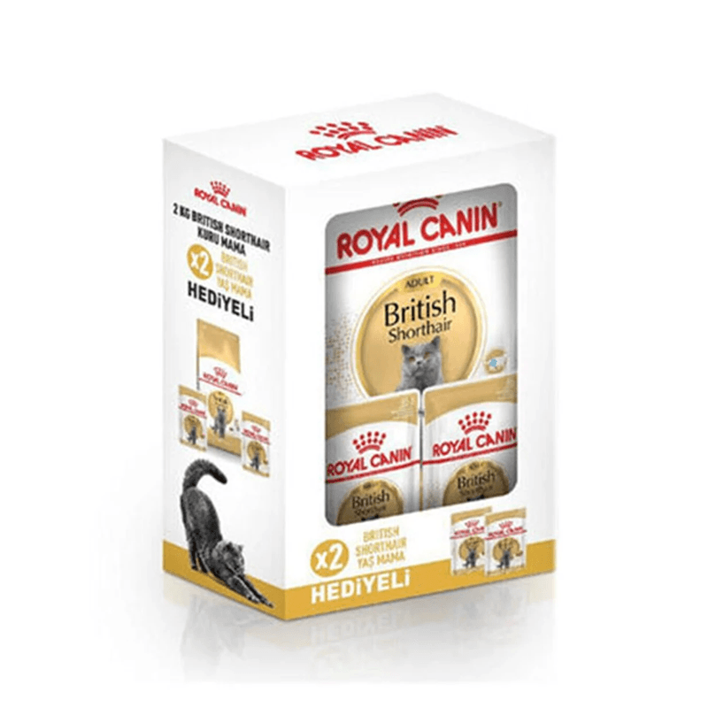 Royal Canin British Shorthair Yetişkin Kuru Kedi Maması 2 Kg + 2 adet Yaş Mama Hediyeli