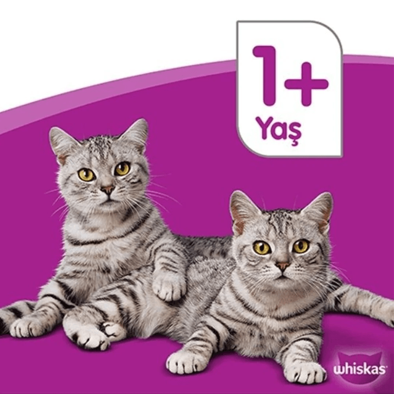 Whiskas Pure Delight Tavuklu Hindili 4x85 Gr