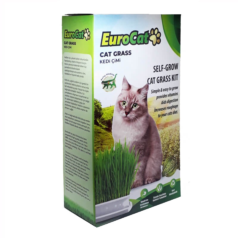 Eurocat Kedi Çimi