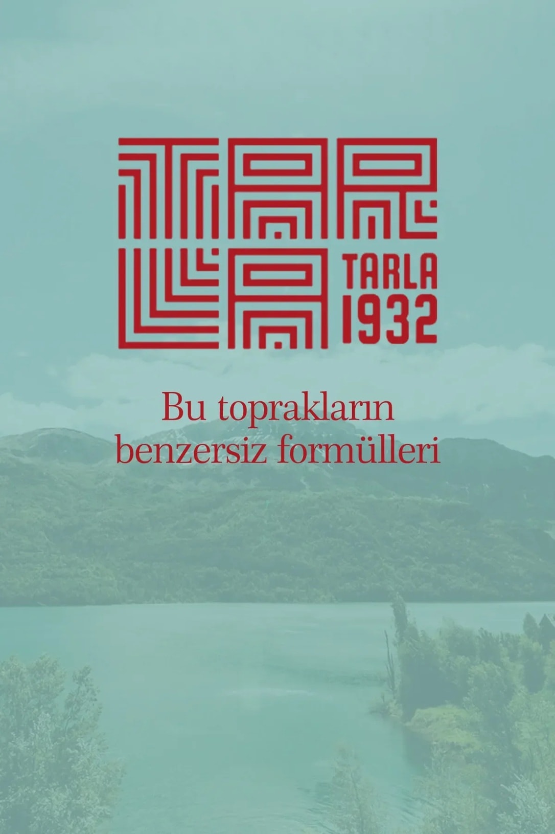 Tarla 1932 Gecesi Makbul Özel Çay - Benzersiz Bitki Formülleri / Sıfır Kimyasal