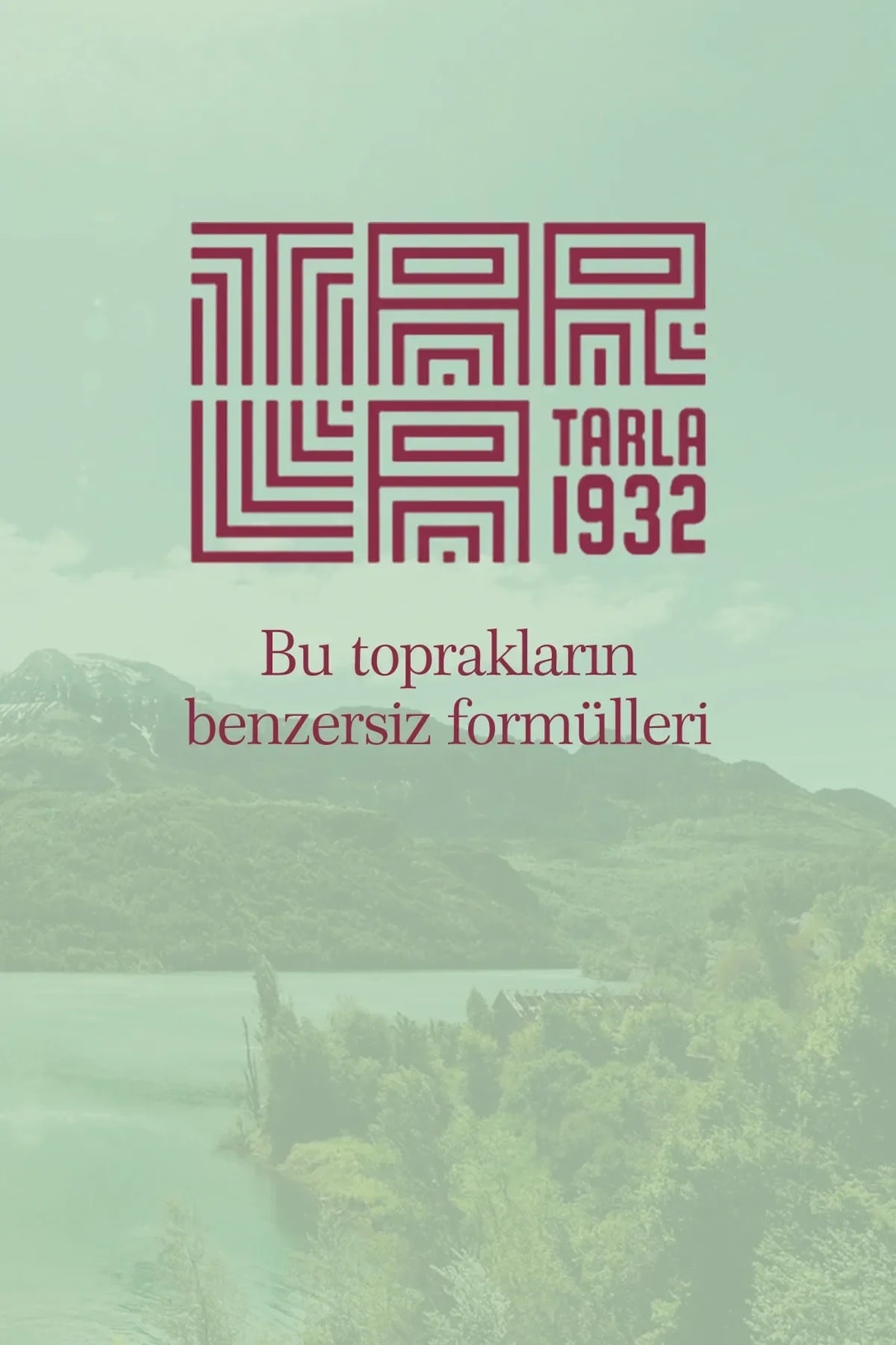 Tarla 1932 Şiştim Çayı- Yemek Sonrası İçin Özel Bitki Formülleri - Sıfır Kimyasal
