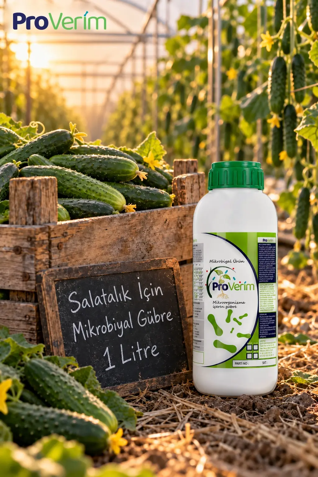 Salatalık için Mikrobiyal Gübre