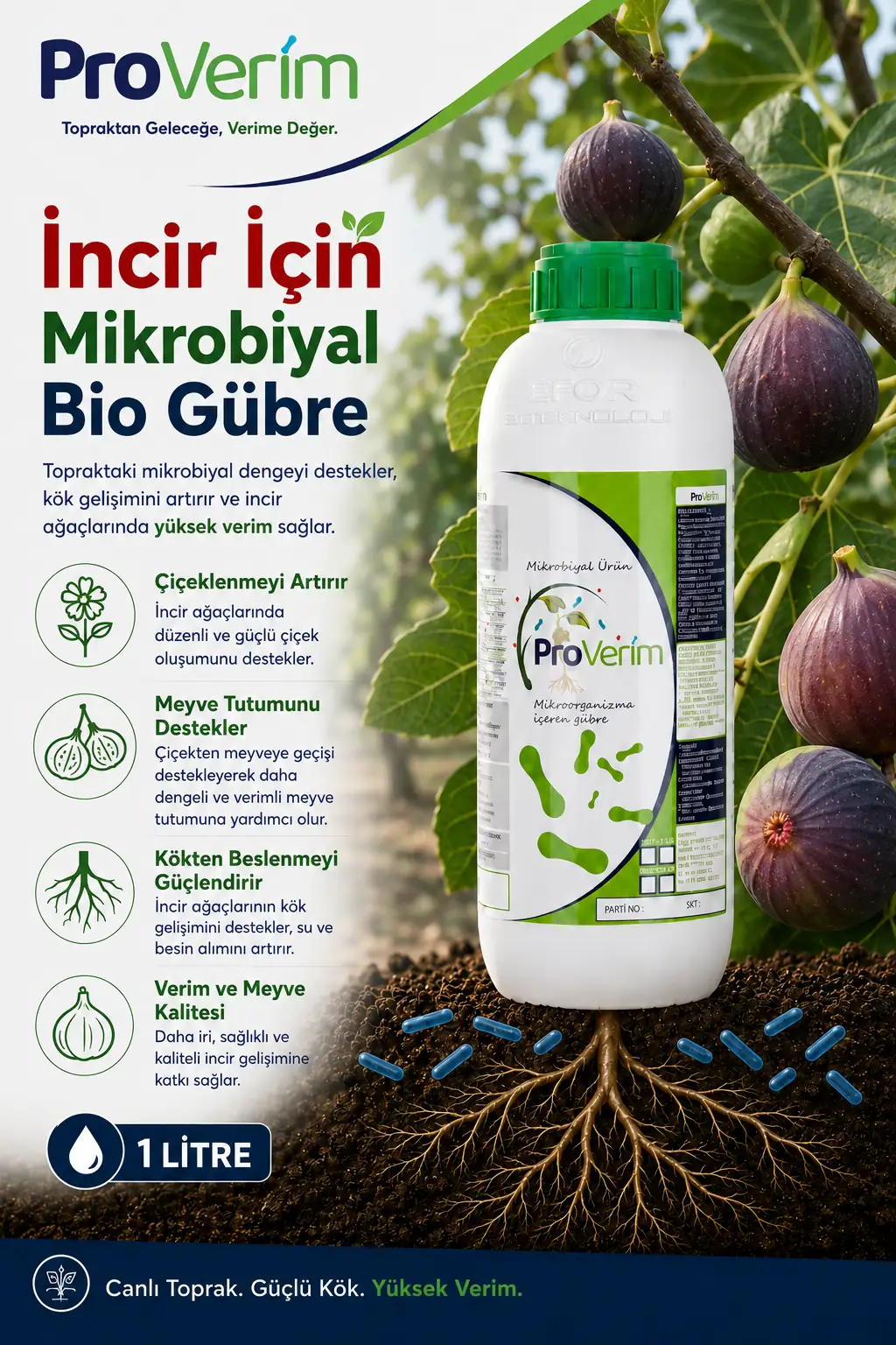 İncir için Proverim 1 L