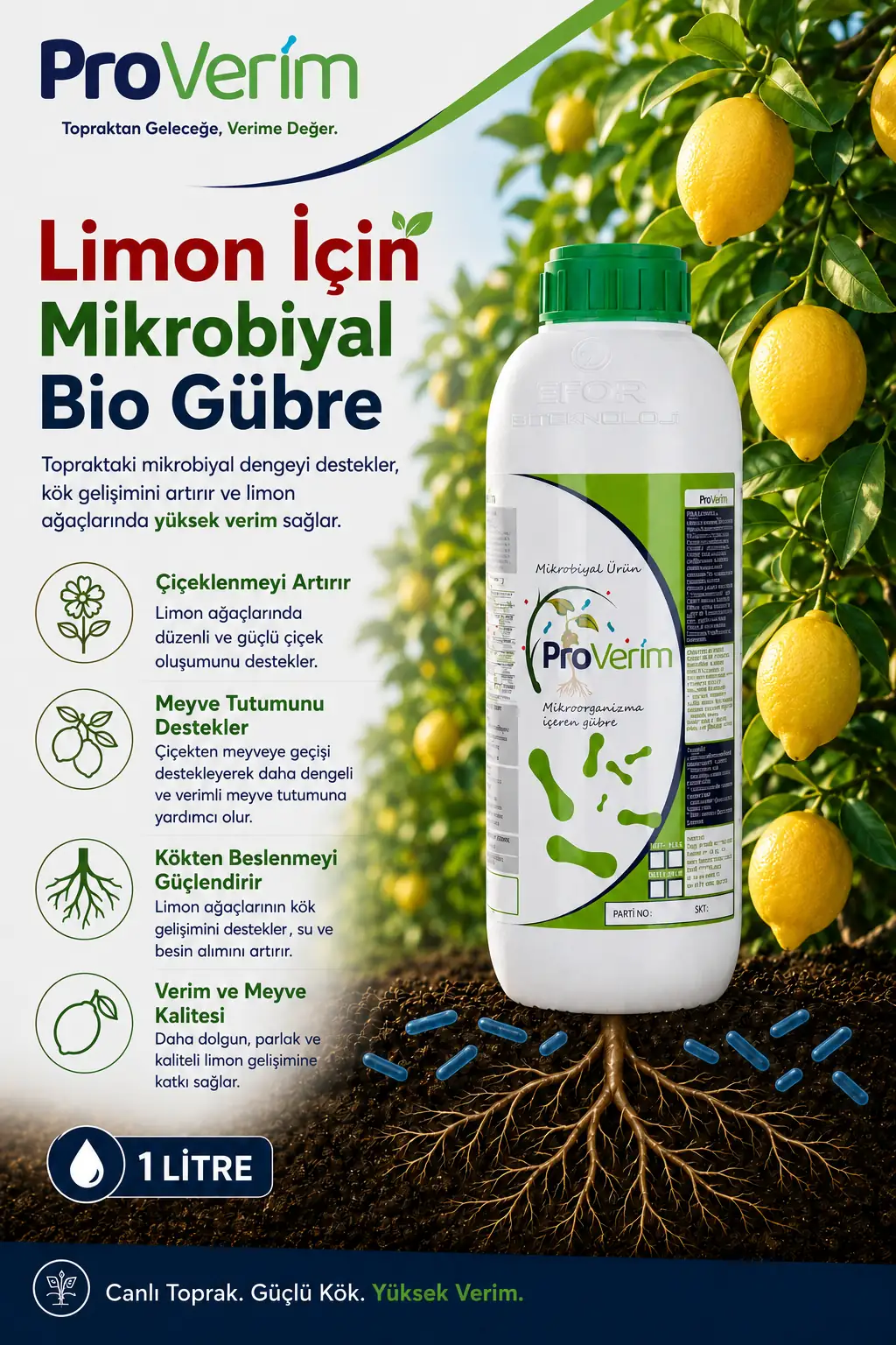 Limon için Proverim 1 L