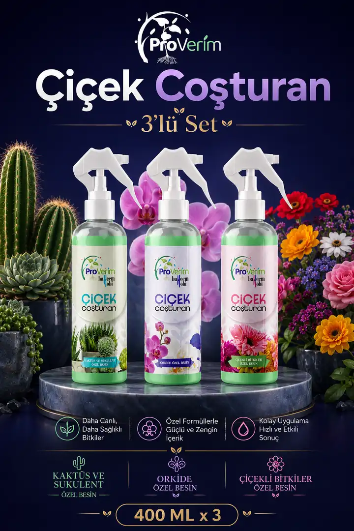 3lü Set