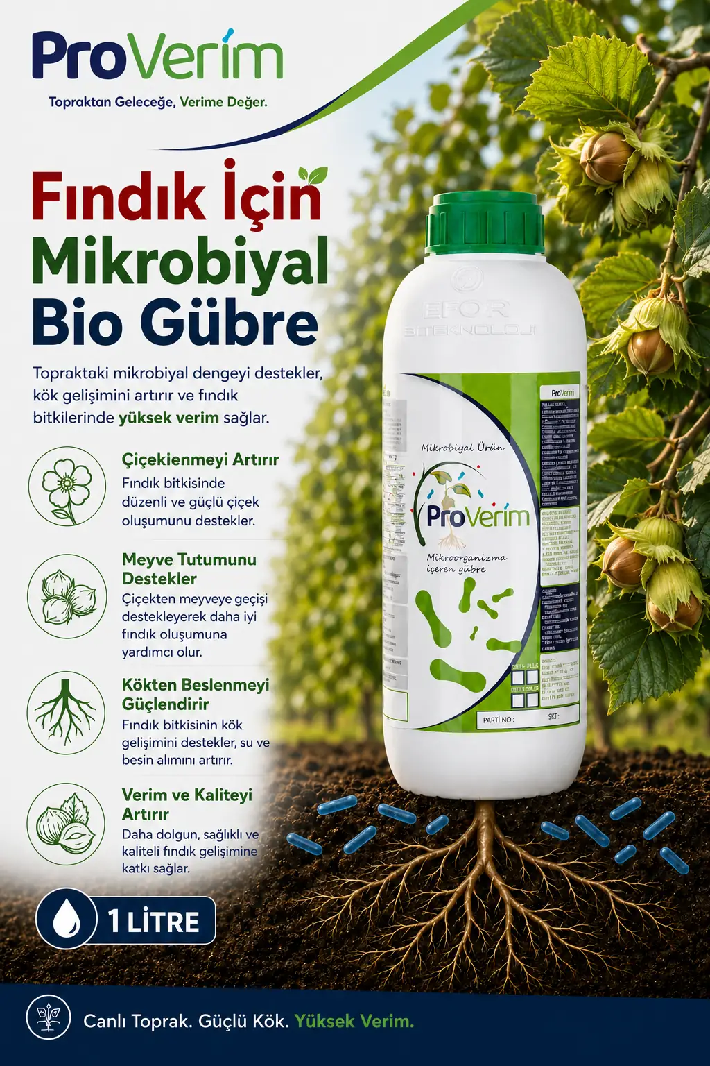 Fındık için Proverim 1 L